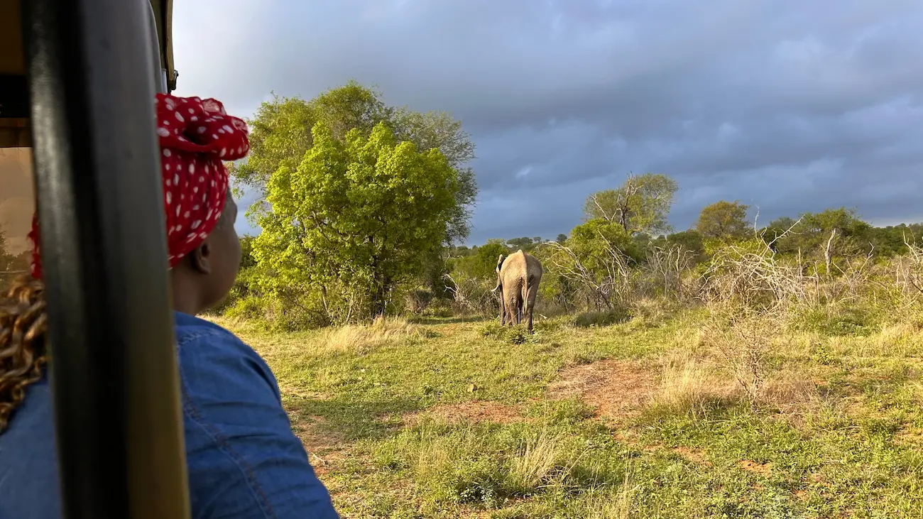 3 Day Kruger Safari from Johannesburg