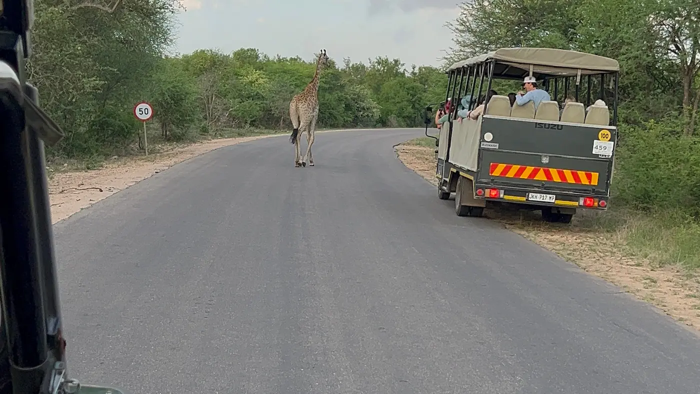 Kruger National Park Full Day Safari Tour