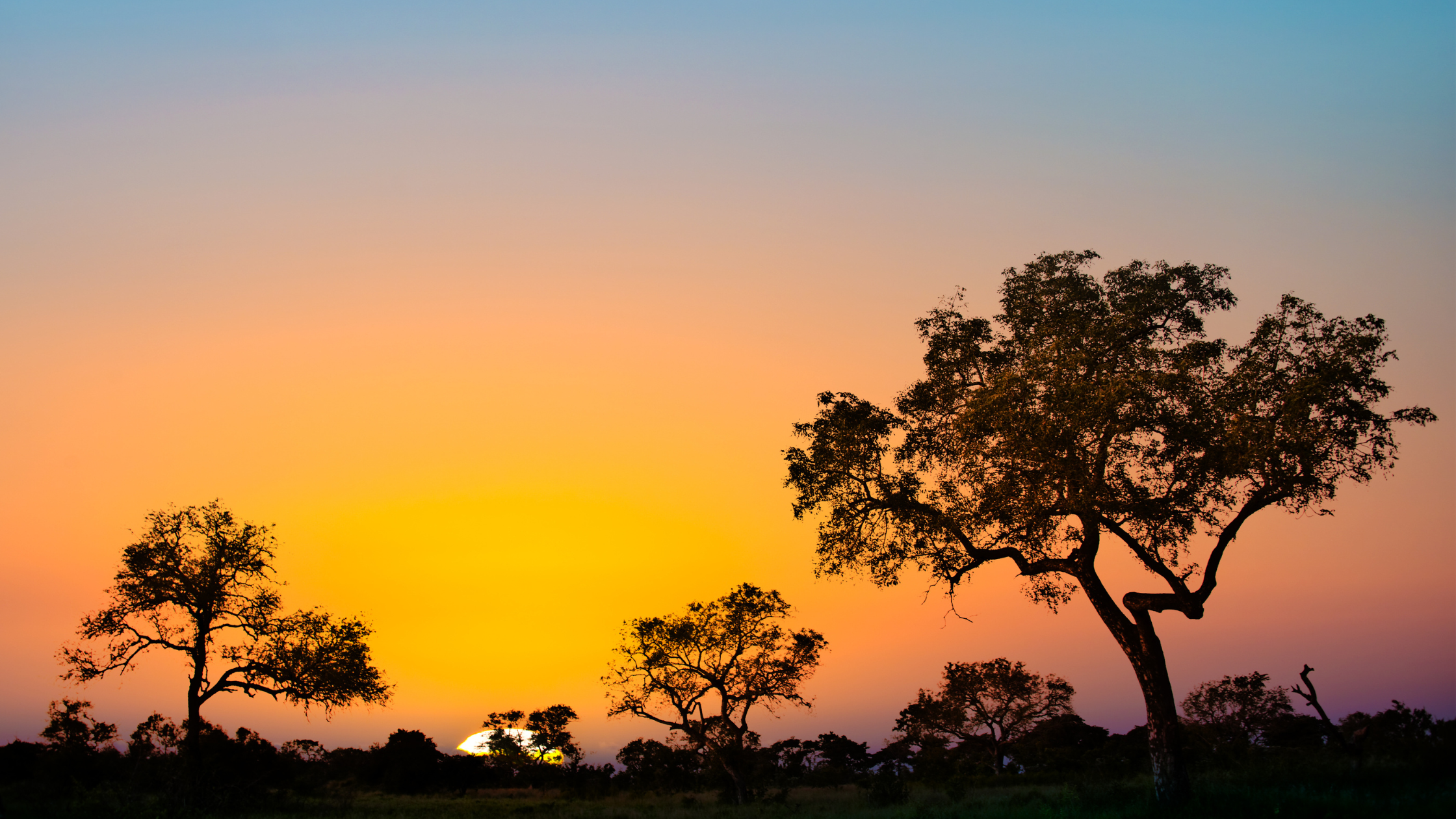 Cape Town to Kruger and Victoria Falls safari package