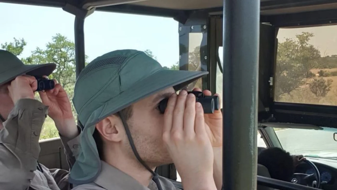 Sabi Sands safari leopard in a tree
