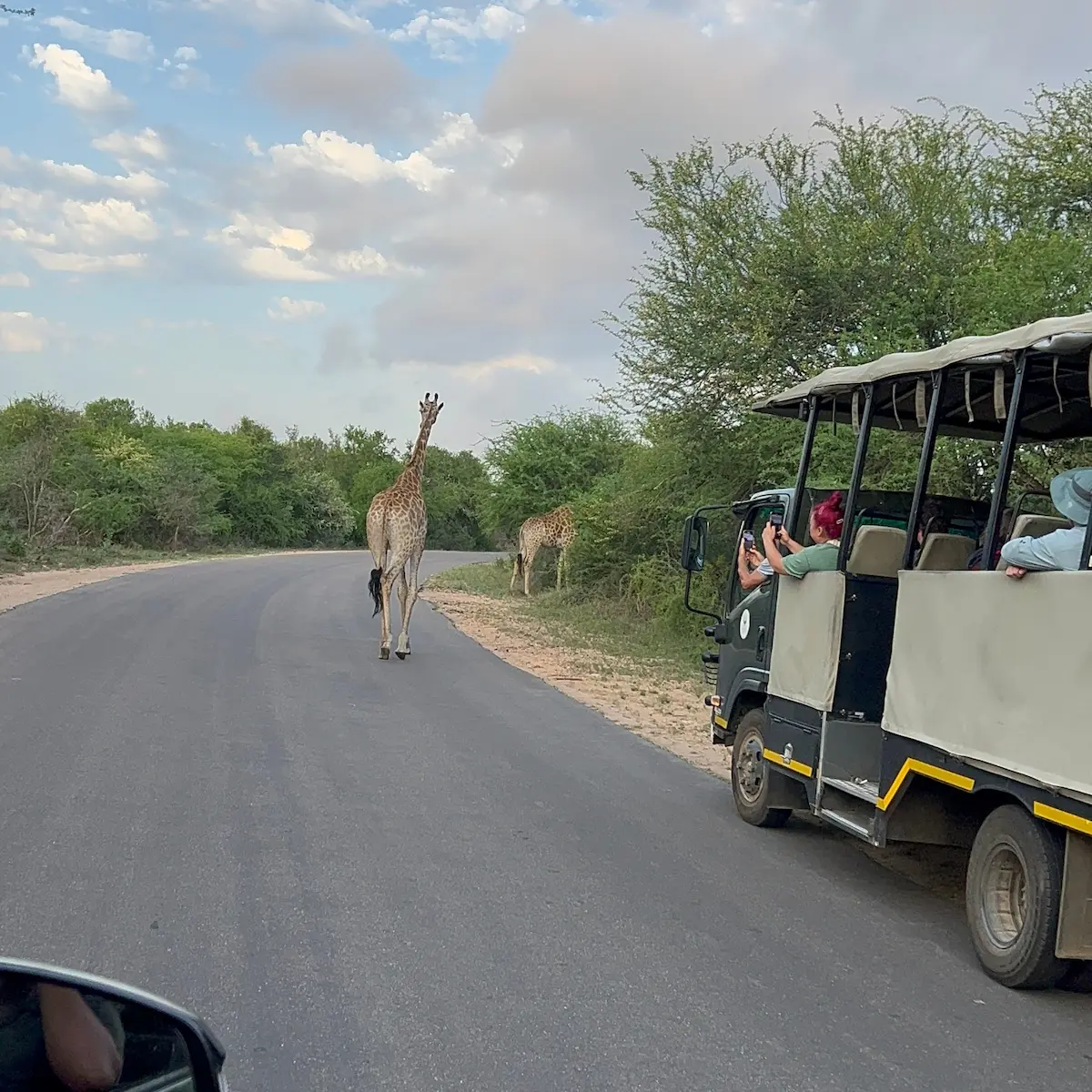 Full day Kruger safari in an open vehicle