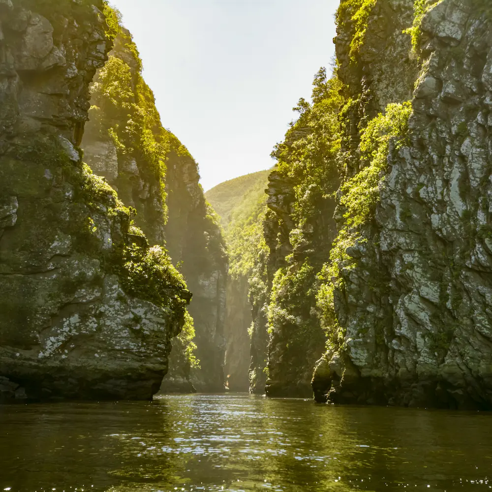 Tsitsikamma National Park and Garden Route scenery