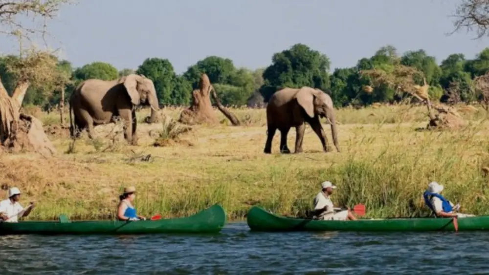 Upper Zambezi Canoeing Safari